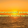 Морфологический разбор слова «висевших», какая часть речи