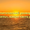 Морфологический разбор слова «водить», какая часть речи