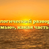 Морфологический разбор слова «восемью», какая часть речи
