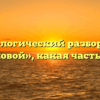 Морфологический разбор слова «восковой», какая часть речи