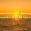 Морфологический разбор слова «воюющий», какая часть речи