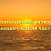 Морфологический разбор слова «вражеское», какая часть речи