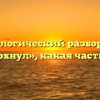 Морфологический разбор слова «вспорхнул», какая часть речи