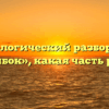 Морфологический разбор слова «грибок», какая часть речи