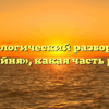 Морфологический разбор слова «двойня», какая часть речи