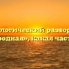 Морфологический разбор слова «двоюродная», какая часть речи