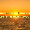Морфологический разбор слова «дорогой», какая часть речи