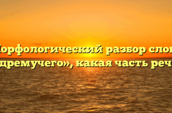 Морфологический разбор слова «дремучего», какая часть речи