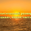 Морфологический разбор слова «дурацкая», какая часть речи
