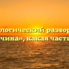 Морфологический разбор слова «дурачина», какая часть речи