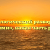 Морфологический разбор слова «елями», какая часть речи