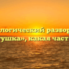 Морфологический разбор слова «заботушка», какая часть речи