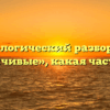 Морфологический разбор слова «задумчивые», какая часть речи