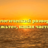 Морфологический разбор слова «замажьте», какая часть речи