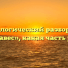 Морфологический разбор слова «занавес», какая часть речи