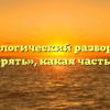 Морфологический разбор слова «затерять», какая часть речи