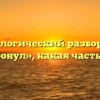 Морфологический разбор слова «затронул», какая часть речи