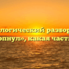 Морфологический разбор слова «зачерпнул», какая часть речи