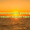 Морфологический разбор слова «защитных», какая часть речи