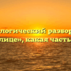 Морфологический разбор слова «землице», какая часть речи