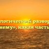 Морфологический разбор слова «зимнему», какая часть речи