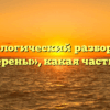 Морфологический разбор слова «измерены», какая часть речи