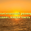 Морфологический разбор слова «каждая», какая часть речи
