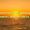 Морфологический разбор слова «карими», какая часть речи