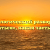 Морфологический разбор слова «кататься», какая часть речи
