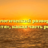 Морфологический разбор слова «катя», какая часть речи