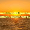 Морфологический разбор слова «кожаная», какая часть речи