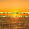 Морфологический разбор слова «колодезной», какая часть речи