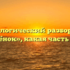Морфологический разбор слова «котёнок», какая часть речи