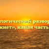 Морфологический разбор слова «крикнет», какая часть речи