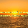 Морфологический разбор слова «кувшинки», какая часть речи