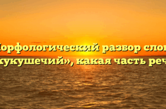Морфологический разбор слова «кукушечий», какая часть речи