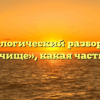 Морфологический разбор слова «кулачище», какая часть речи