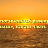 Морфологический разбор слова «малыш», какая часть речи