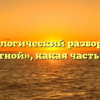Морфологический разбор слова «местной», какая часть речи
