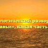 Морфологический разбор слова «муравьи», какая часть речи