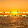 Морфологический разбор слова «оберегал», какая часть речи