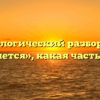 Морфологический разбор слова «оденется», какая часть речи