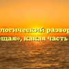 Морфологический разбор слова «освещая», какая часть речи