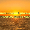 Морфологический разбор слова «охотничьего», какая часть речи
