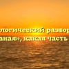 Морфологический разбор слова «паханая», какая часть речи