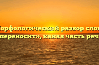 Морфологический разбор слова «переносит», какая часть речи