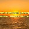 Морфологический разбор слова «подвинь», какая часть речи