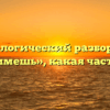 Морфологический разбор слова «поднимешь», какая часть речи