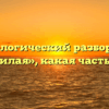 Морфологический разбор слова «пожилая», какая часть речи