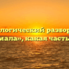 Морфологический разбор слова «поймала», какая часть речи